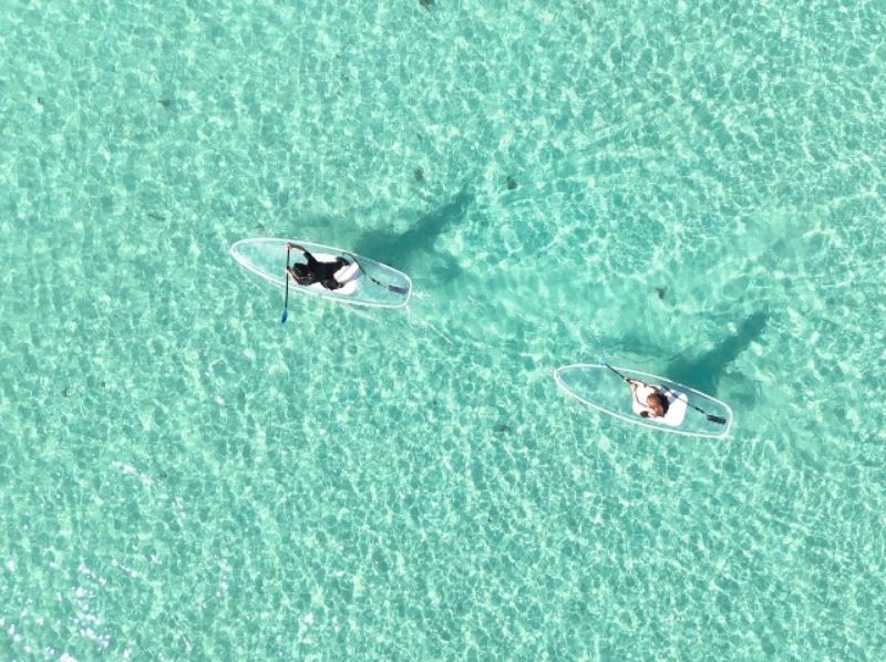 【沖縄・宮古島】1組貸切クリアSUP 初心者OK｜ドローン撮影＆返金保証の紹介画像