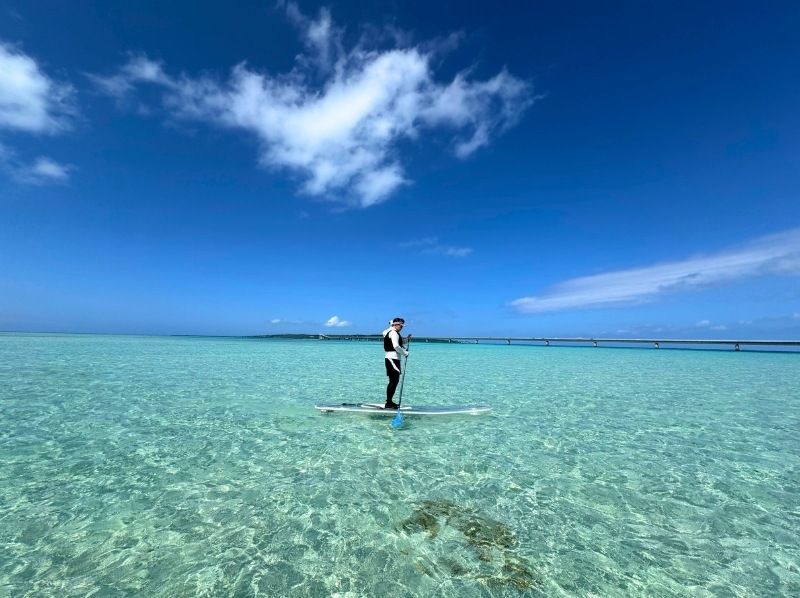 【沖縄・宮古島】1組貸切クリアSUP 初心者OK｜ドローン撮影＆返金保証の紹介画像