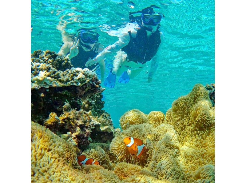 [Okinawa, Yonaguni Island] Enjoy the great outdoors on a remote island in the middle of the ocean! Subtropical snorkeling tour!の紹介画像