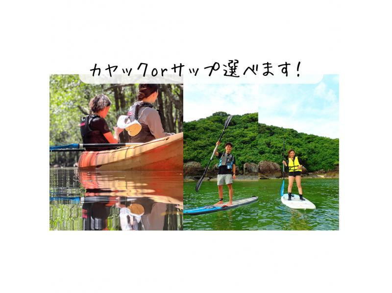 [Ishigaki island ・ One pair of chartered! 】 Impressive sunset! Mangrove & Sunset Kayak!の紹介画像