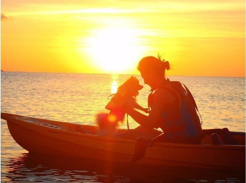 [Ishigaki island ・ One pair of chartered! 】 Impressive sunset! Mangrove & Sunset Kayak!の紹介画像