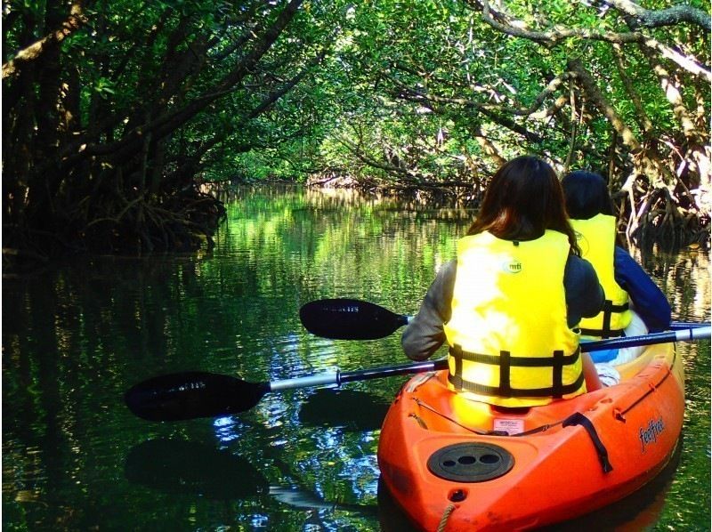 [Ishigaki island ・ One pair of chartered! 】 Impressive sunset! Mangrove & Sunset Kayak!の紹介画像