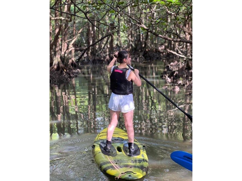 [Ishigaki island ・ One pair of chartered! 】 Impressive sunset! Mangrove & Sunset Kayak!の紹介画像