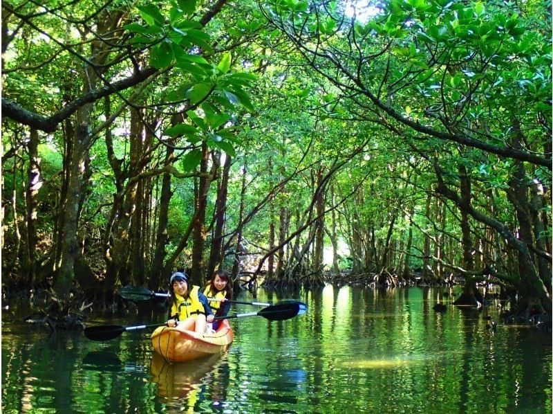 [Ishigaki island ・ One pair of chartered! 】 Impressive sunset! Mangrove & Sunset Kayak!の紹介画像