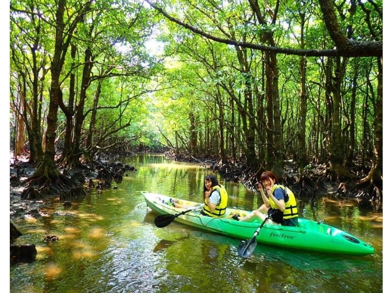 [Ishigaki island ・ One pair of chartered! 】 Impressive sunset! Mangrove & Sunset Kayak!の紹介画像