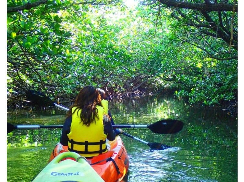 [Ishigaki island ・ One pair of chartered! 】 Impressive sunset! Mangrove & Sunset Kayak!の紹介画像