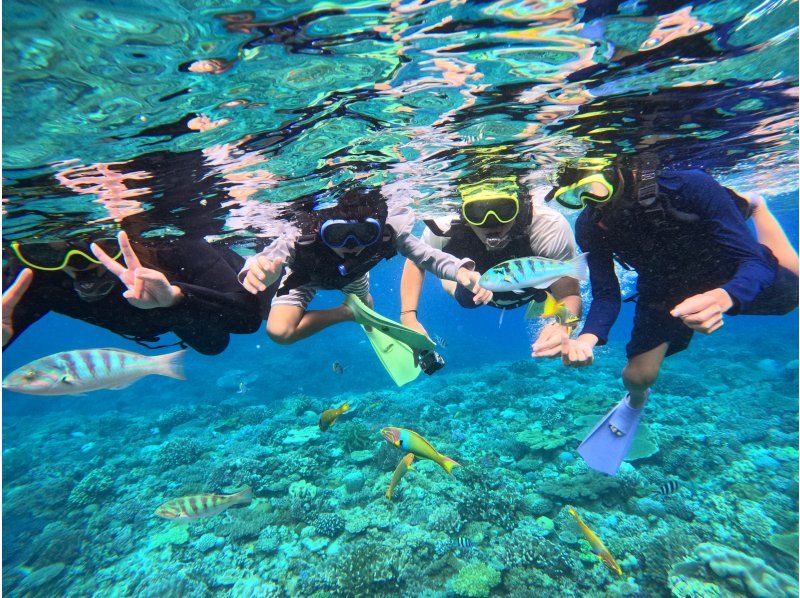 [Okinawa, Sesoko Island] A banana boat snorkeling tour and two types of marine activities held in the sea where sea turtles live. Free 4K camera (GoPro) photography provided.の紹介画像