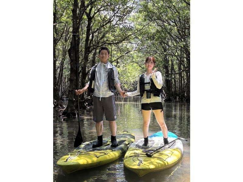 【石垣島/1組貸し切り】国立公園:吹通川マングローブ〈2時間カヤック/サップ体験〉高画質写真プレゼント付き!!の紹介画像