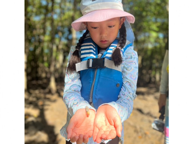 【石垣島/1組貸し切り】国立公園:吹通川マングローブ〈2時間カヤック/サップ体験〉高画質写真プレゼント付き!!の紹介画像