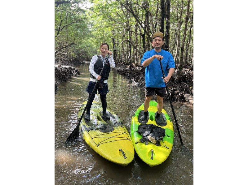 【石垣島/1組貸し切り】国立公園:吹通川マングローブ〈2時間カヤック/サップ体験〉高画質写真プレゼント付き!!の紹介画像