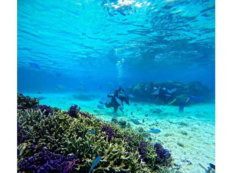 [Full-face mask private diving experience (you can breathe safely and easily without getting your face wet)] Hot shower & changing tent available, GoPro free of charge, pick-up available [Miyakojima]の紹介画像