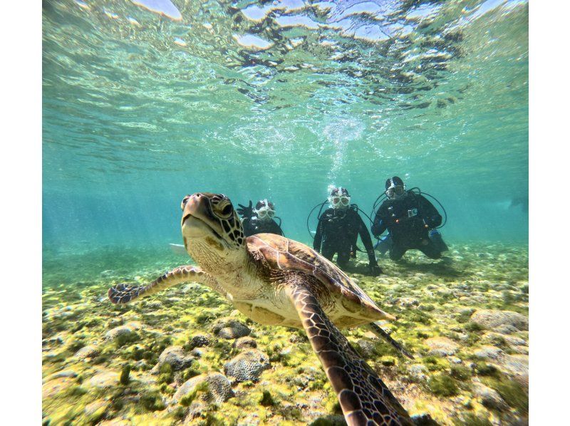 [Private trial diving] Use a full-face mask that keeps your face dry and makes it easy to breathe, and the latest equipment! No cancellation fee! Free GoPro rental! Pick-up and drop-off available [Miyakojima]の紹介画像