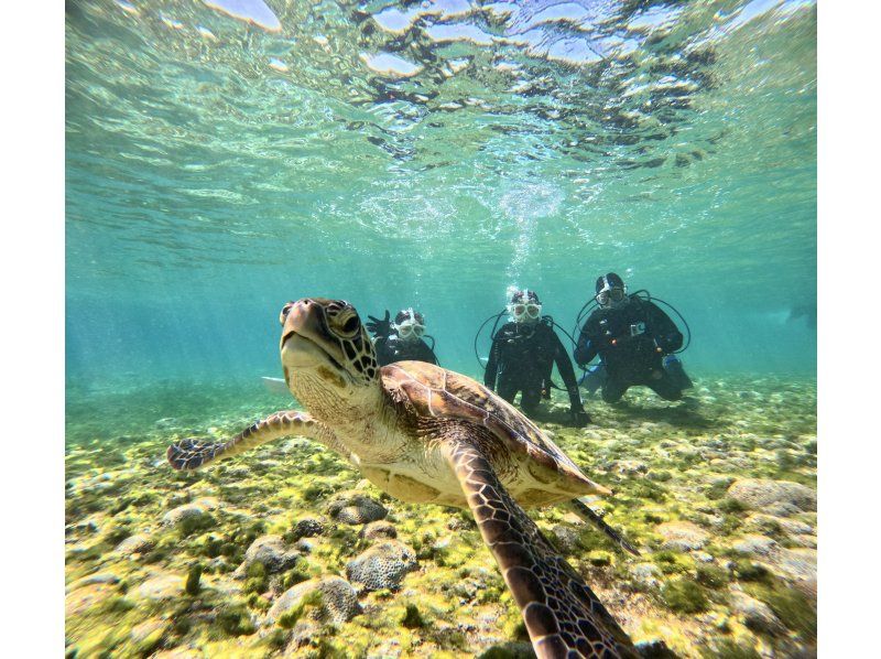 [Full-face mask private diving experience (you can breathe safely and easily without getting your face wet)] Hot shower & changing tent available, GoPro free of charge, pick-up available [Miyakojima]の紹介画像