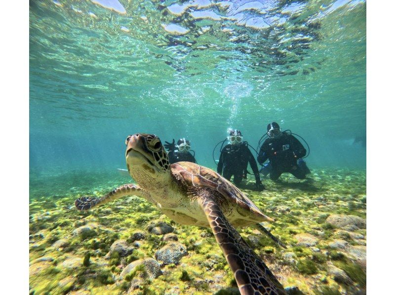 [Full-face mask private diving experience (you can breathe safely and easily without getting your face wet)] Hot shower & changing tent available, GoPro free of charge, pick-up available [Miyakojima]の紹介画像