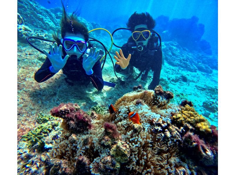 [Okinawa, Miyakojima] No cancellation fee, no worries! Experience diving safely and comfortably with a full-face mask! Free rental of the latest GoPro! No.1 service shop!の紹介画像