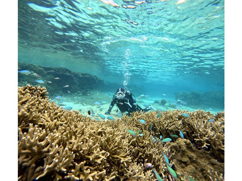 [Full-face mask private diving experience (you can breathe safely and easily without getting your face wet)] Hot shower & changing tent available, GoPro free of charge, pick-up available [Miyakojima]の紹介画像