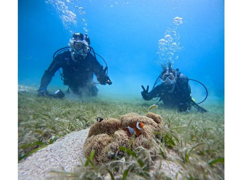 [Full-face mask private diving experience (you can breathe safely and easily without getting your face wet)] Hot shower & changing tent available, GoPro free of charge, pick-up available [Miyakojima]の紹介画像