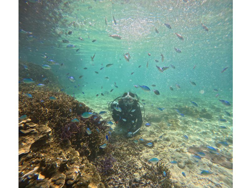 [Full-face mask private diving experience (you can breathe safely and easily without getting your face wet)] Hot shower & changing tent available, GoPro free of charge, pick-up available [Miyakojima]の紹介画像