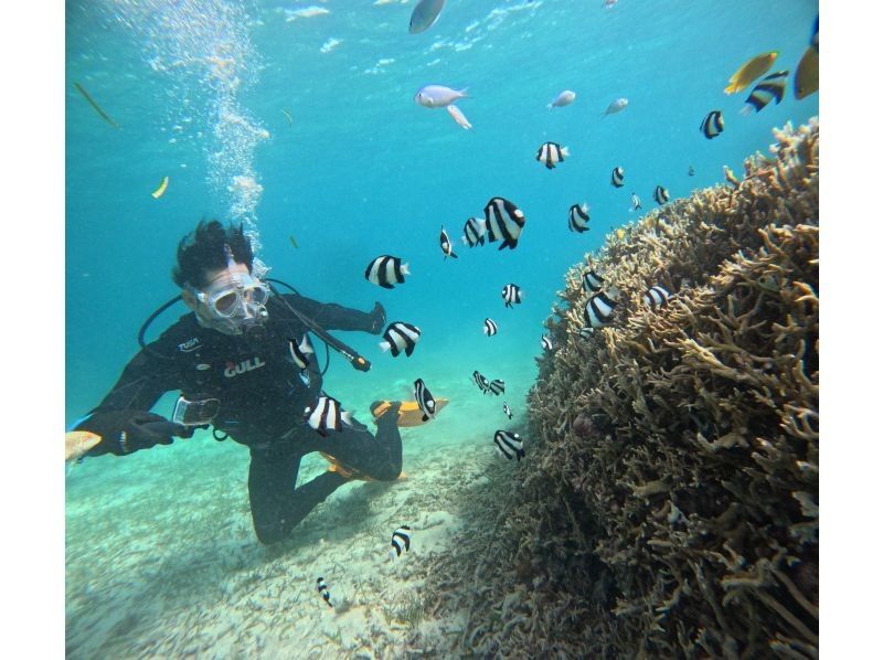 [Private trial diving] Use a full-face mask that keeps your face dry and makes it easy to breathe, and the latest equipment! No cancellation fee! Free GoPro rental! Pick-up and drop-off available [Miyakojima]の紹介画像