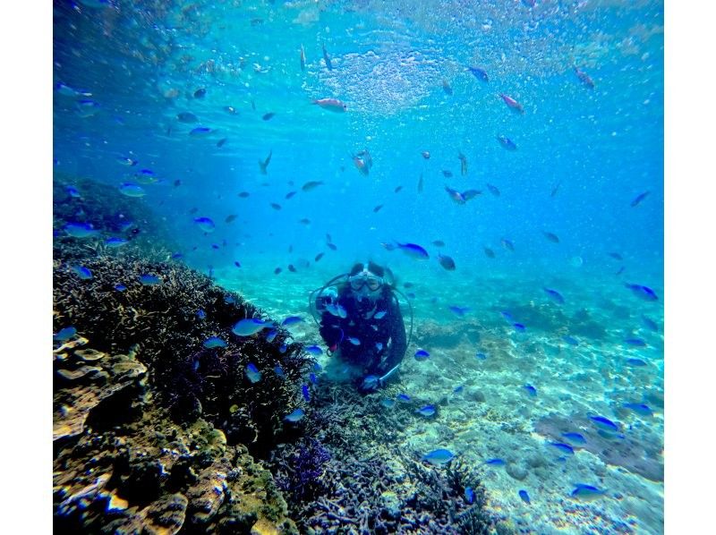 [Full-face mask private diving experience (you can breathe safely and easily without getting your face wet)] Hot shower & changing tent available, GoPro free of charge, pick-up available [Miyakojima]の紹介画像