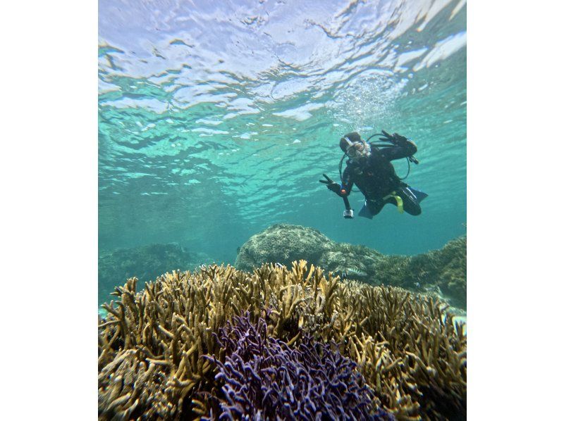 [Full-face mask private diving experience (you can breathe safely and easily without getting your face wet)] Hot shower & changing tent available, GoPro free of charge, pick-up available [Miyakojima]の紹介画像