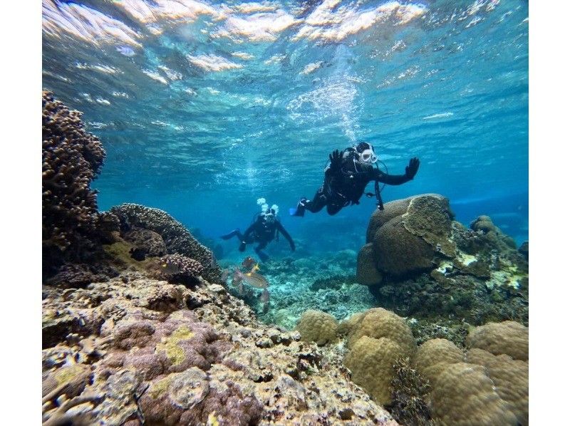 [Full-face mask private diving experience (you can breathe safely and easily without getting your face wet)] Hot shower & changing tent available, GoPro free of charge, pick-up available [Miyakojima]の紹介画像