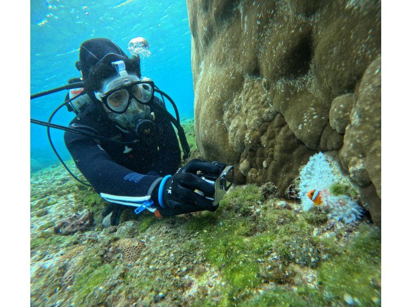 [Fully private tour] Safe and comfortable diving experience with the latest full-face mask and veteran guide! Free pick-up and drop-off available, free GoPro, free cancellation [Miyakojima]の紹介画像