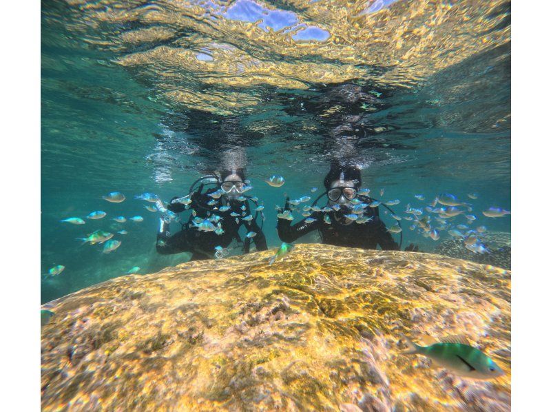 [Full-face mask private diving experience (you can breathe safely and easily without getting your face wet)] Hot shower & changing tent available, GoPro free of charge, pick-up available [Miyakojima]の紹介画像