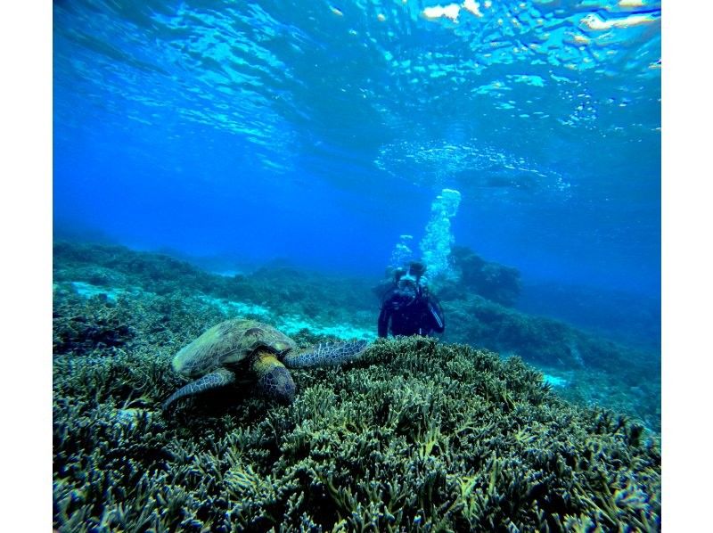 [Full-face mask private diving experience (you can breathe safely and easily without getting your face wet)] Hot shower & changing tent available, GoPro free of charge, pick-up available [Miyakojima]の紹介画像