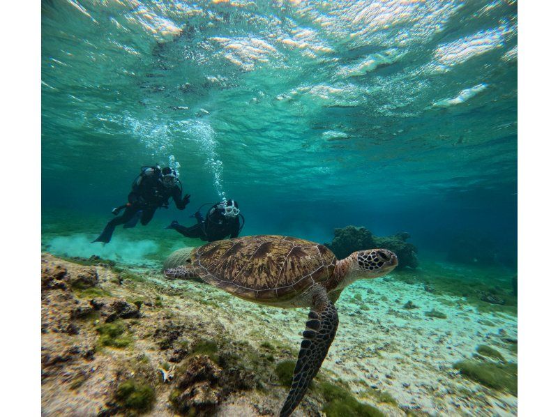 [Full-face mask private diving experience (you can breathe safely and easily without getting your face wet)] Hot shower & changing tent available, GoPro free of charge, pick-up available [Miyakojima]の紹介画像