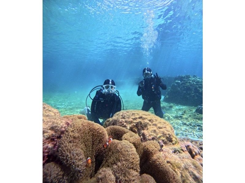 [Full-face mask private diving experience (you can breathe safely and easily without getting your face wet)] Hot shower & changing tent available, GoPro free of charge, pick-up available [Miyakojima]の紹介画像
