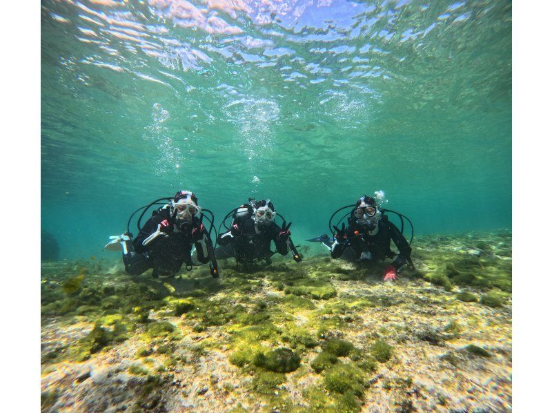 [Private trial diving] Use a full-face mask that keeps your face dry and makes it easy to breathe, and the latest equipment! No cancellation fee! Free GoPro rental! Pick-up and drop-off available [Miyakojima]の紹介画像