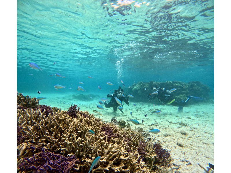 [Full-face mask private diving experience (you can breathe safely and easily without getting your face wet)] Hot shower & changing tent available, GoPro free of charge, pick-up available [Miyakojima]の紹介画像
