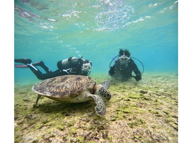 [Full-face mask private diving experience (you can breathe safely and easily without getting your face wet)] Hot shower & changing tent available, GoPro free of charge, pick-up available [Miyakojima]の紹介画像