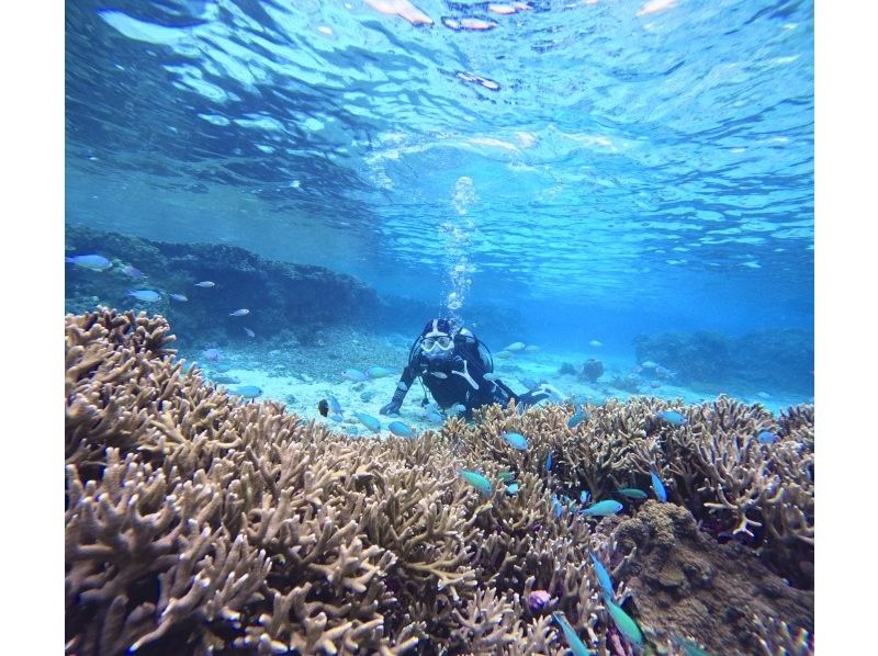 [Full-face mask private diving experience (you can breathe safely and easily without getting your face wet)] Hot shower & changing tent available, GoPro free of charge, pick-up available [Miyakojima]の紹介画像