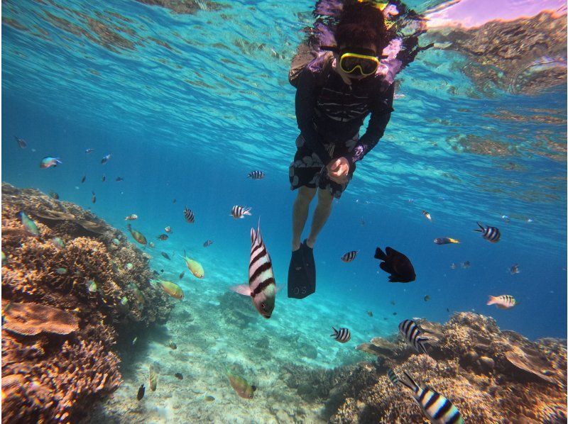 [Okinawa, Sesoko Island] Free 4K camera (GoPro) photo shoot♪ Banana boat snorkeling tour & marine tour in the sea where sea turtles liveの紹介画像