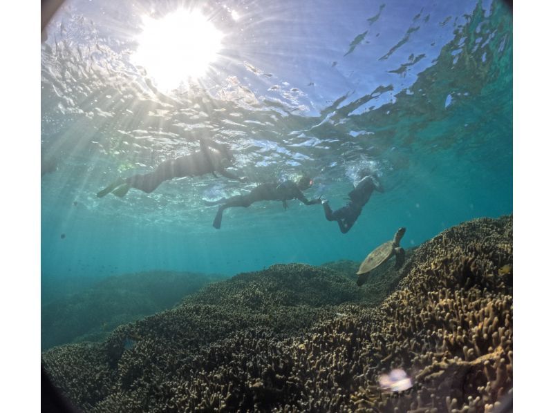 【沖縄・瀬底島】４Kカメラ（GoPro)撮影無料プレゼント♪　ウミガメの棲む海で開催　バナナボートで行くシュノーケリングツアー＆マリン１種の紹介画像