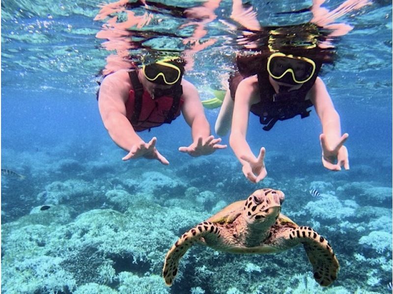 Save money by booking in advance! [Held on Sesoko Island / Approx. 2 hours] Parasailing around Sesoko Island, where sea turtles live! & Banana boat snorkeling. Free GoPro photography.の紹介画像