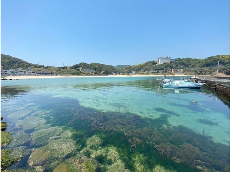 [Shizuoka, Shimoda/Tonoura Beach] Rental Transparent Clear Kayak Experience 60 minutesの紹介画像