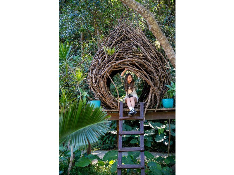 【沖縄・送迎無料】1日1組限定♡貸切フォトジェニックツアー♡ドローン撮影付き！思い出作りのお手伝い⭐︎の紹介画像