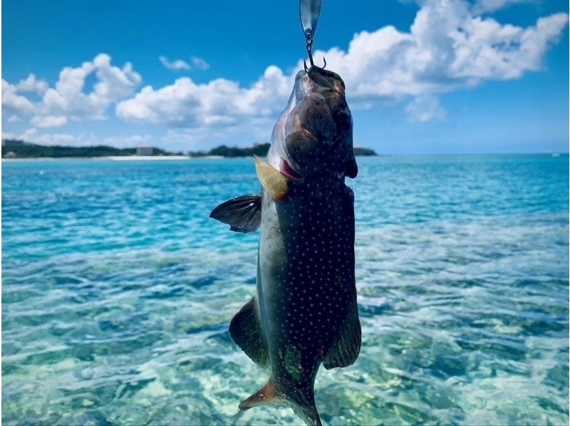 [Okinawa, Onna Village] Kayak fishing fully reserved! Half-day lure fishing in a pedal kayak ☆ Beginners welcome ☆の紹介画像