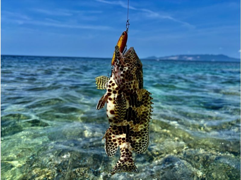 [Okinawa, Onna Village] Kayak fishing fully reserved! Half-day lure fishing in a pedal kayak ☆ Beginners welcome ☆の紹介画像