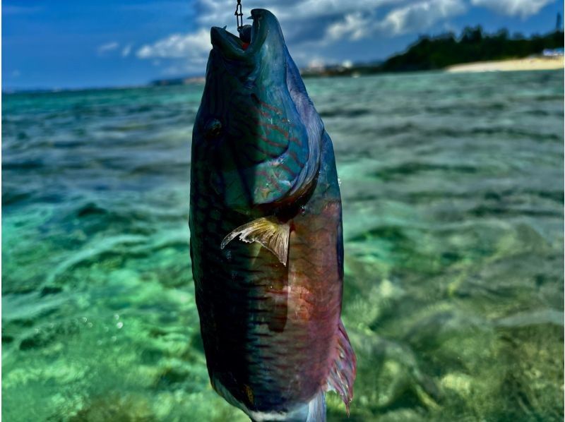 [Okinawa, Onna Village] Kayak fishing fully reserved! Half-day lure fishing in a pedal kayak ☆ Beginners welcome ☆の紹介画像