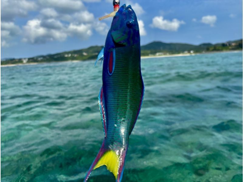 [Okinawa, Onna Village] Kayak fishing fully reserved! Half-day lure fishing in a pedal kayak ☆ Beginners welcome ☆の紹介画像
