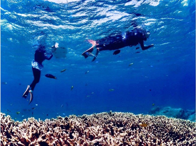 [Okinawa, Onna Village] Fully private! Snorkeling in a pedal kayak ☆ Beginners welcome ☆の紹介画像