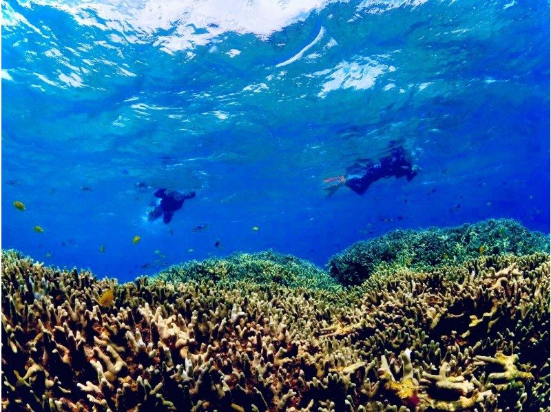 [Okinawa, Onna Village] Fully private! Snorkeling in a pedal kayak ☆ Beginners welcome ☆の紹介画像