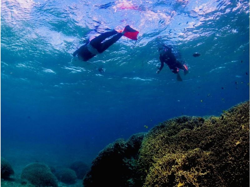 [Okinawa, Onna Village] Fully private! Snorkeling in a pedal kayak ☆ Beginners welcome ☆の紹介画像