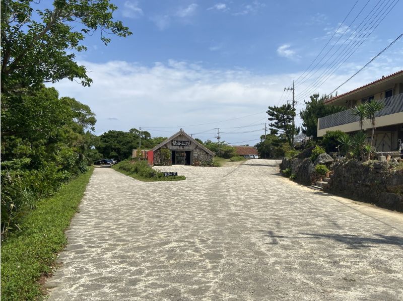 [Okinawa, Naha/Chatan departure] Glass boat and Bise Fukugi tree lined road, Ocean Expo Park (Churaumi Aquarium), Mihama American Village course (Course B)の紹介画像