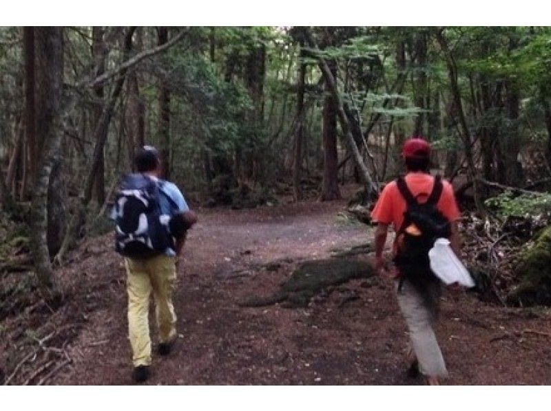 [ภูเขาไฟฟูจิ, Aokigahara Jukai! ] ทัวร์แนะนำการเดินเที่ยวป่าลึกลับ (จำกัด 4 คนขึ้นไป)の紹介画像