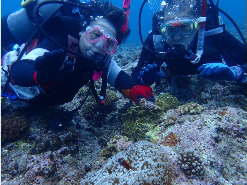 [Northern Okinawa, Gorilla Chop] Near the Churaumi Aquarium, beginners welcome! Experience diving from the beach! Pick-up and drop-off available!の紹介画像